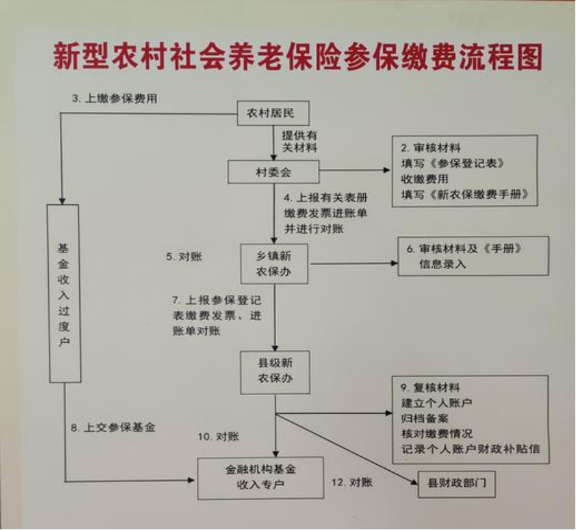 金华农村医保和社保有什么区别(农村医保跟社保的区别)
