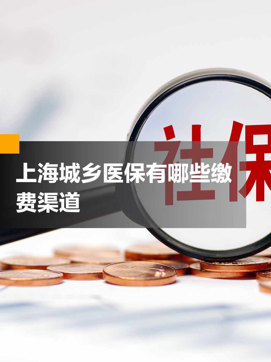 金华上海市医保(上海市医保局官网)